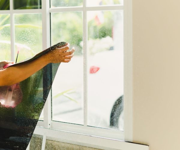 home window film installers near me